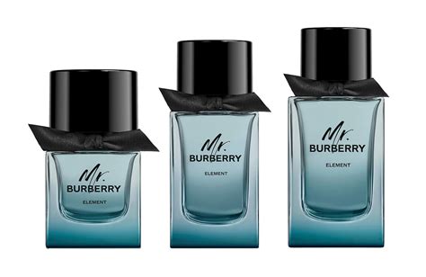 mr burberry hombre|mr burberry element.